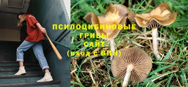 твердый Слюдянка