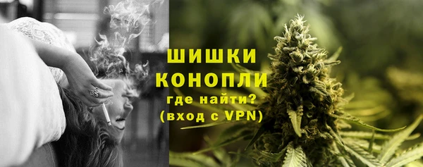 PSILOCYBIN Снежногорск