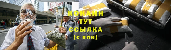 тгк Богородицк