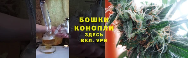 бошки Бронницы