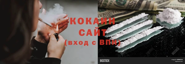 трава Бородино