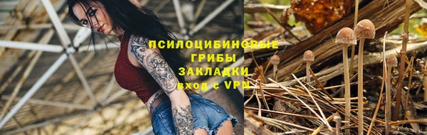 твердый Слюдянка