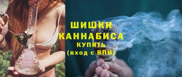 трава Бородино