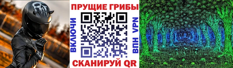 что такое наркотик  Выборг  Псилоцибиновые грибы MAGIC MUSHROOMS 